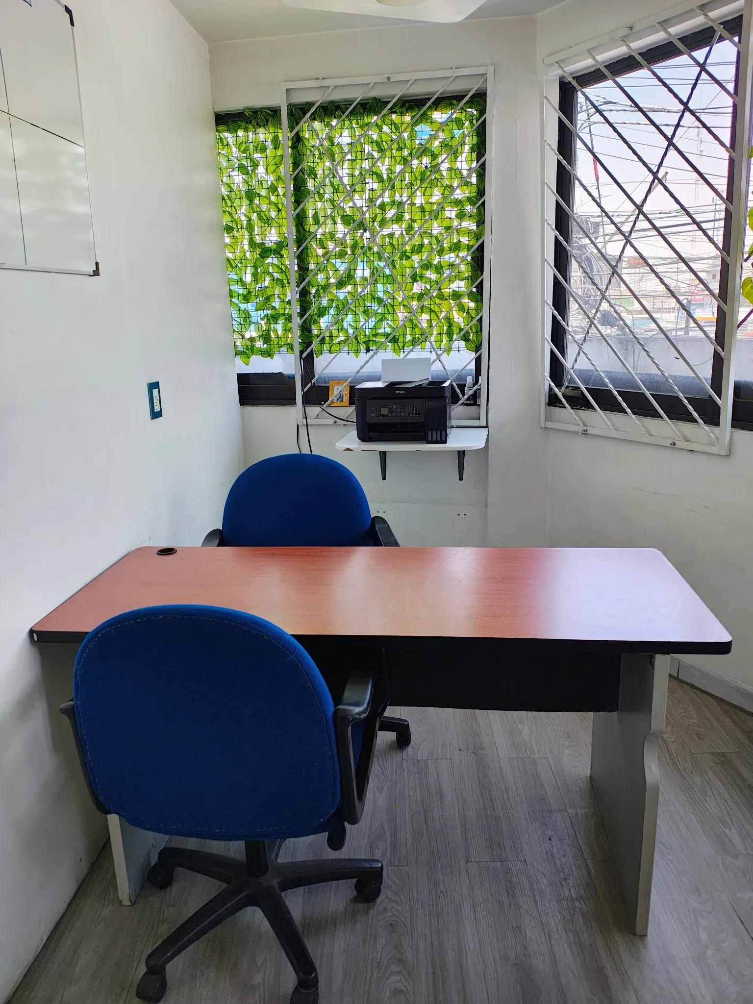 Galería Grupo Enso 4